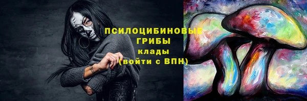 таблы Богданович