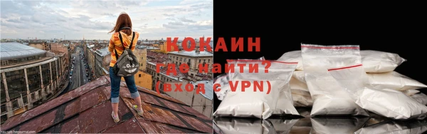 spice Богородицк