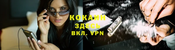 spice Богородицк