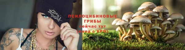 spice Богородицк