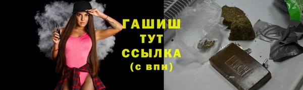 spice Богородицк