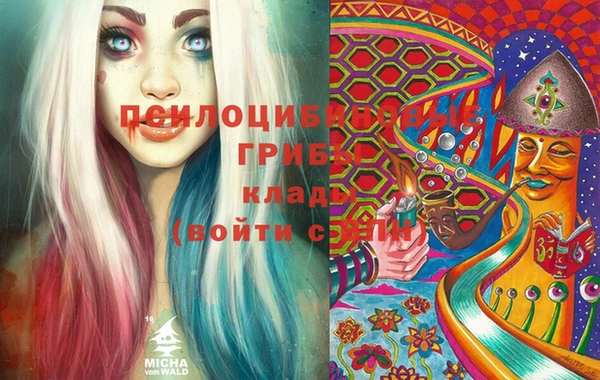 амфетамин Богородск