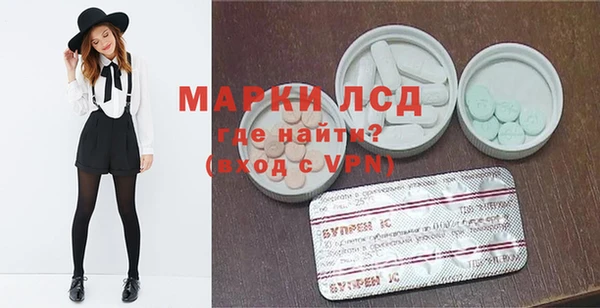 spice Богородицк