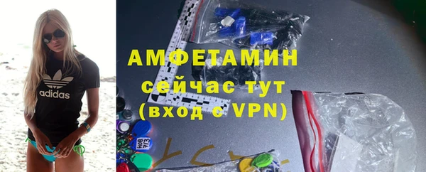 spice Богородицк