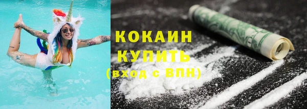 spice Богородицк